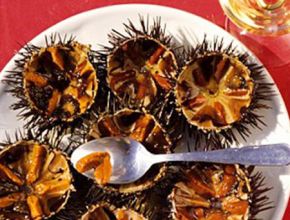 Cầu gai ăn sống