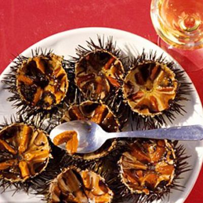 Cầu gai ăn sống