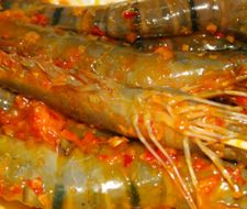 Tôm nướng sa tế